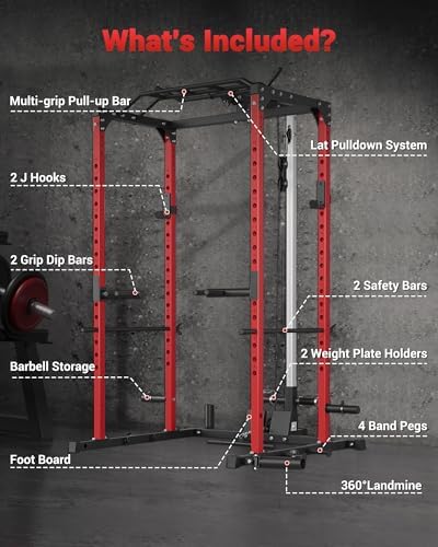 Robust Squat Frame Rack